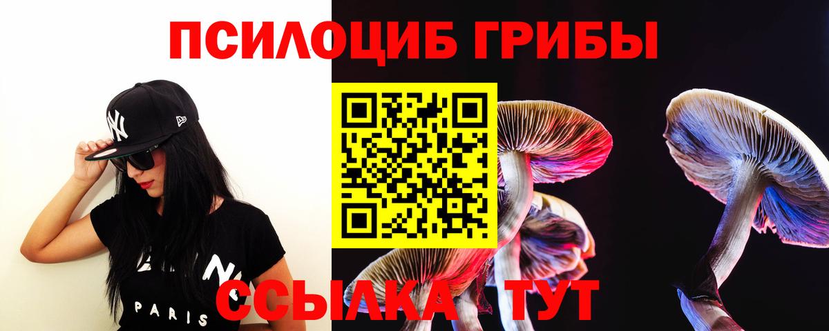 Псилоцибиновые грибы Psilocybe  Вход с VPN  Кирово-Чепецк  Псилоцибиновые грибы Cubensis 