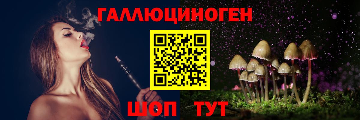 Галлюциногенные грибы Psilocybe Кирово-Чепецк